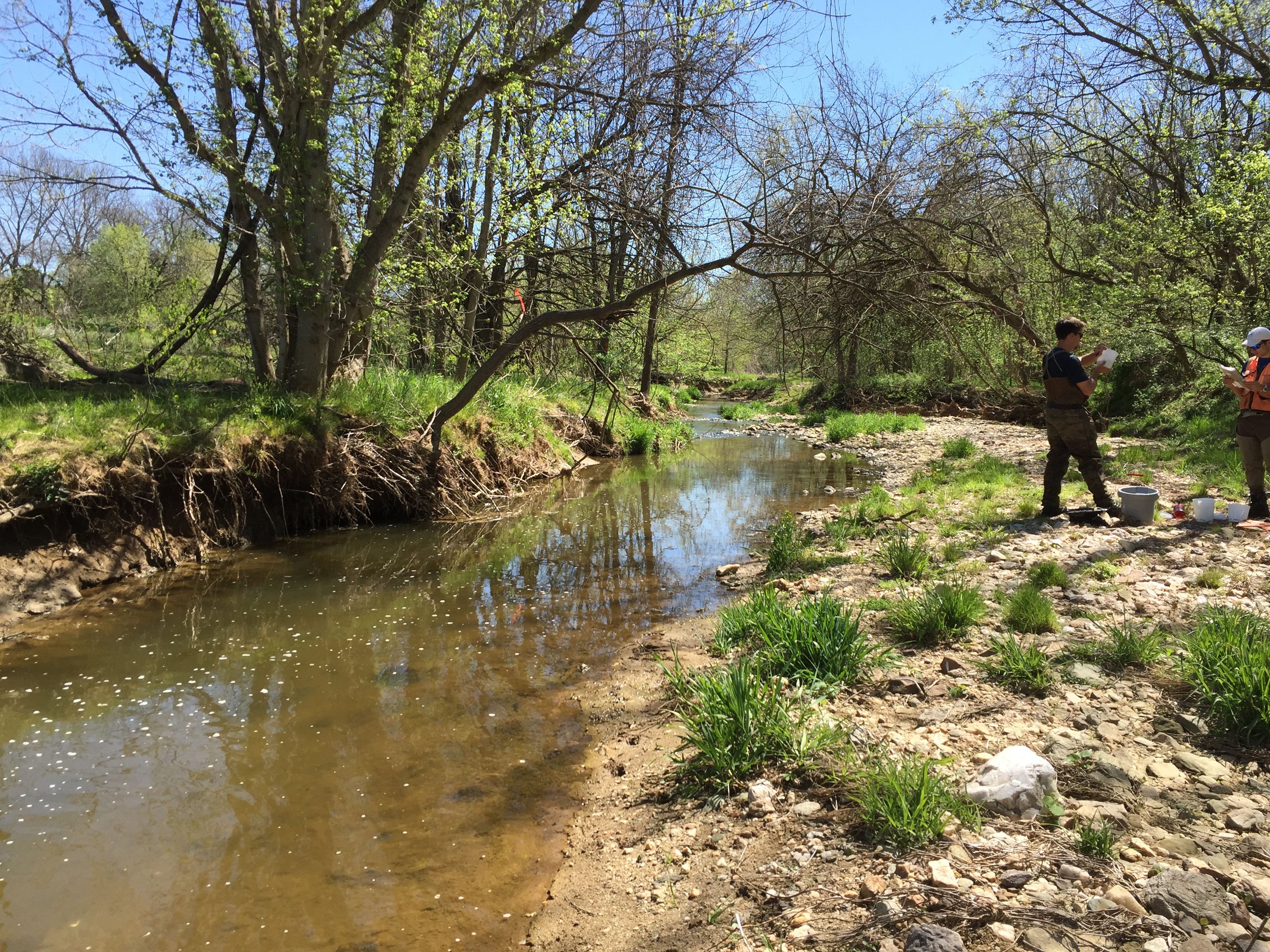 Field photo showing stream conditions at site PRFR-201-X-2016_midpoint downstream